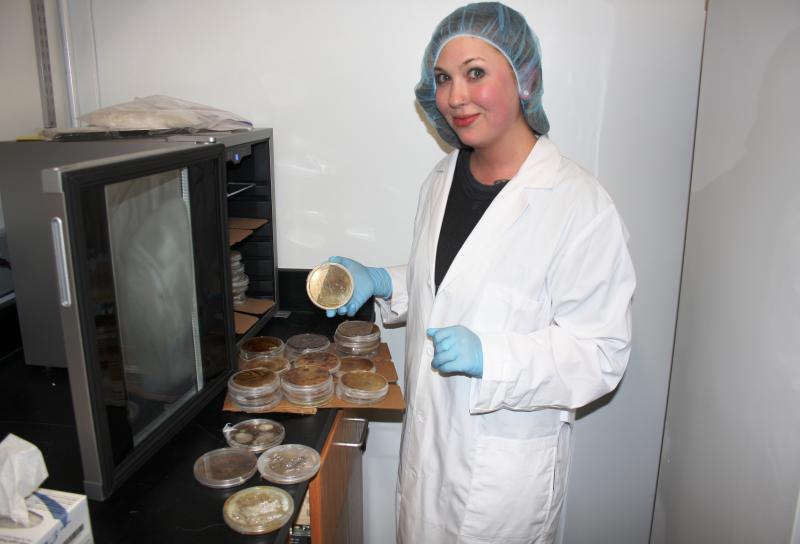 Grad student Kelsey Njus isolated the yeast believed to convey resistance to the white nose fungus in Virginia big-eared bats.