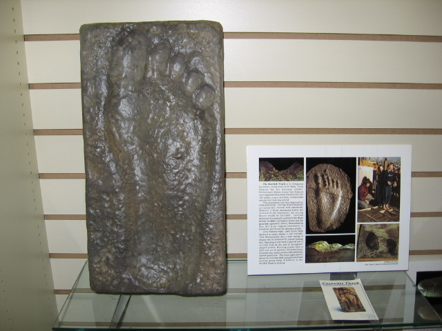 fossilized human footprints with dinosaurs