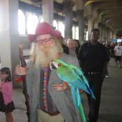 This parrot talks. Except under bridges.