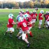 Some leagues start as young as seven with boys in full pads and helmets learning tackling drills. Cleveland Clinic researcher Adam Bartsch says many of them look like Bobbleheads. 