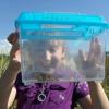 Crestwood first-graders study nature in their school yard.  Teacher Natalie Harr designed a program that encourages kids to be 'Nature Detectives'.