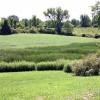 The Niver bog in Huron County's Norwich Township is the likely origin of the sloth bones.  They sat unstudied in the Firelands Museum from 1915 until their discovery several years ago.