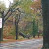 A tree fell across power lines and hit a house on Edgehill Rd. in Cleveland Heights.