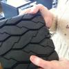 rubber for tires is likely to be the biggest use for the latex from the dandelions 