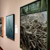 Canadian painter Robert Bateman began his environmental works in 1989.