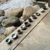 Finished tea bowls cooling