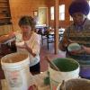 Students Carol Weikert and Maria Smithe decorate their tea bowls.