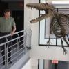 Hans Thewissen discovered the fossils of Ambulocetus in 1993 in a remote site in western India. The 'walking whale' is the mascot of the Northeast Medical University where Thewissen teaches anatomy. 