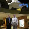 Bill Hlavin (left) and Harvey Webster (right) stand under a model of Dunkleosteous hanging in the museum's atrium. Hlavin led the crew of staff and volunteers, which included Webster, in 1965 that saved the rare fossils from the bulldozers building the I-71 corridor west of downtown.
