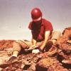The fossil recovery project in 1965 organized by William Scheele and the Cleveland Museum of Natural History was the first in Ohio to use federal highway funds for historic preservation. 