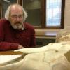 Jack Horner is a curator at the Museum of the Rockies and technical advisor for the Jurassic Park franchise. He says the dream of bringing back a dinosaur starts with a chicken.